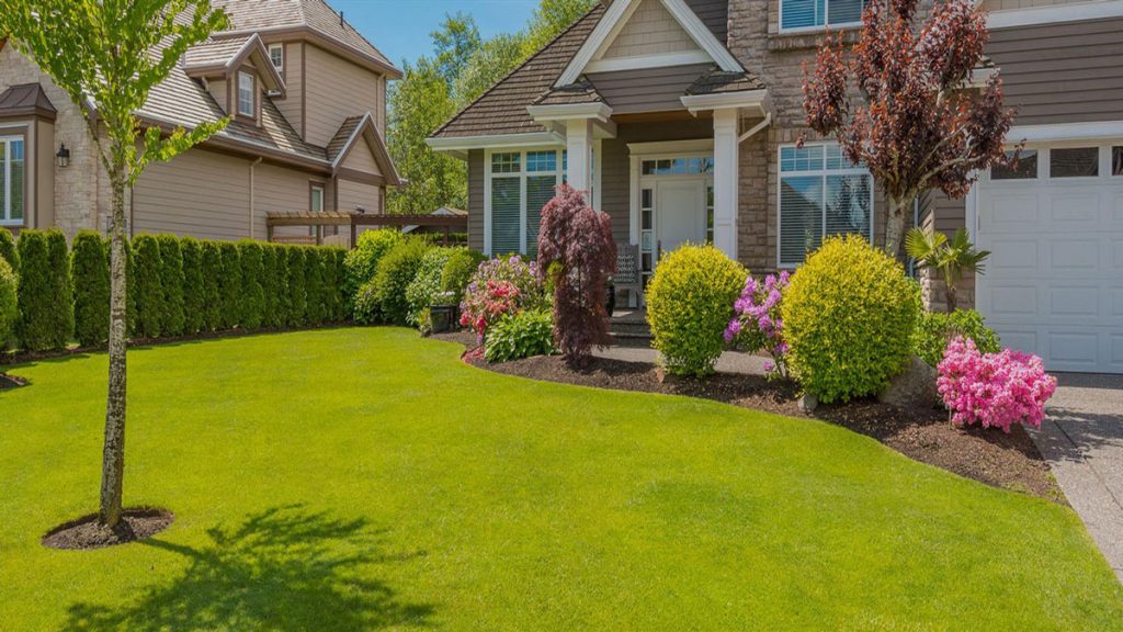 Top Reasons Why You Should Hire Landscaper Designer